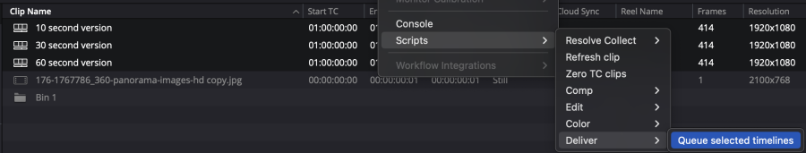 Davinci Resolve scripts – Niwa