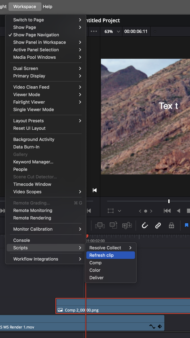 Davinci Resolve scripts – Niwa